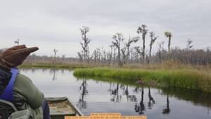 [Movie: Flock of White Ibis, 2025:12:04 14:14:41, 31.0235739, -83.1125985 (68M) --jsq for WWALS]