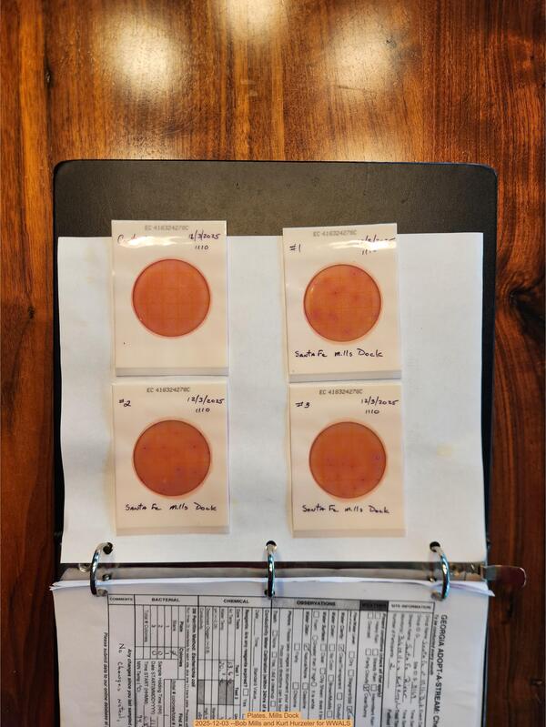 Plates, Mills Dock 2025-12-03 --Bob Mills and Kurt Hurzeler for WWALS