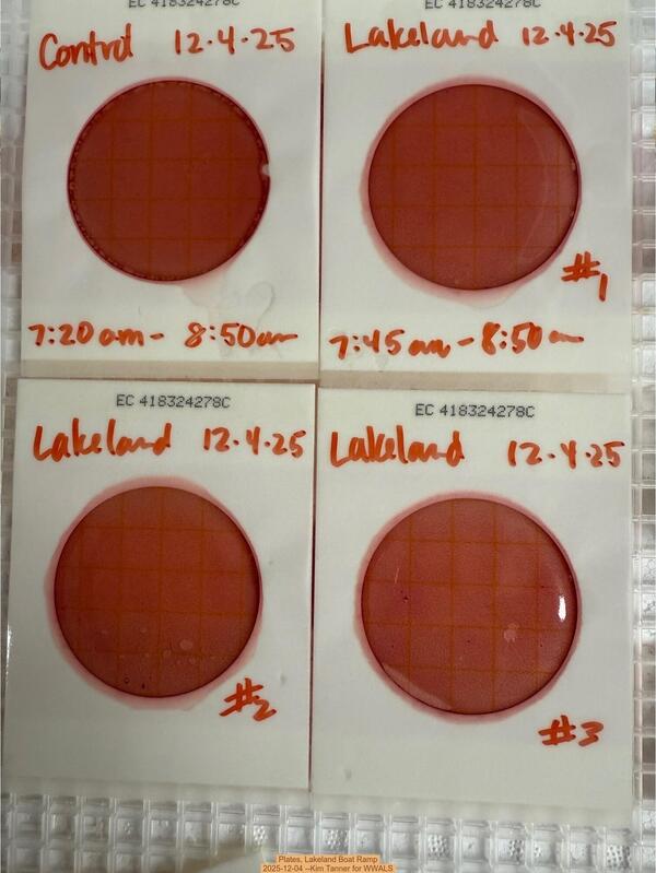 Plates, Lakeland Boat Ramp 2025-12-04 --Kim Tanner for WWALS