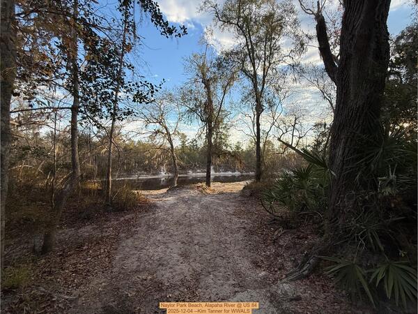 [Naylor Park Beach, Alapaha River @ US 84 2025-12-04 --Kim Tanner for WWALS]