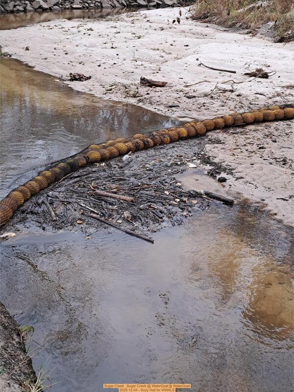 [Sugar Creek @ WaterGoat 2025-12-04 --Suzy Hall for WWALS]