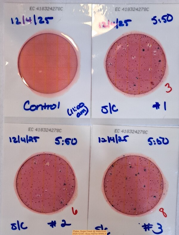 Plates, Sugar Creek @ WaterGoat 2025-12-04 --Suzy Hall for WWALS
