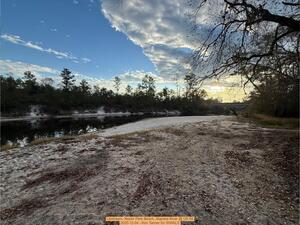 [Upstream, Naylor Park Beach, Alapaha River @ US 84 2025-12-04 --Kim Tanner for WWALS]