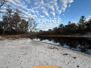 [Downstream, Naylor Park Beach, Alapaha River @ US 84 2025-12-04 --Kim Tanner for WWALS]