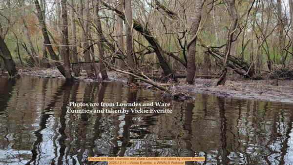 Photos are from Lowndes and Ware Counties and taken by Vickie Everitte, 2025-12-11 --Vickie Everitte, a WWALS Webinar