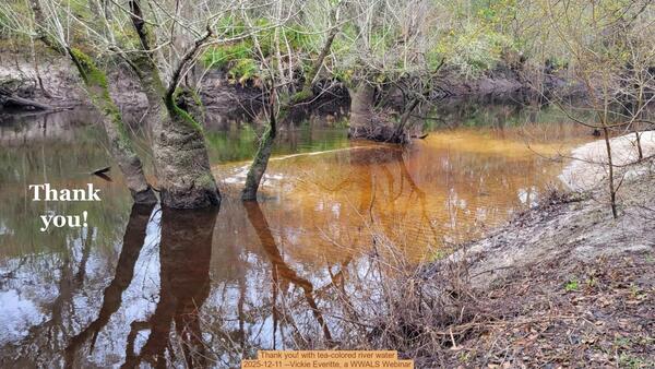 Thank you! with tea-colored river water, 2025-12-11 --Vickie Everitte, a WWALS Webinar
