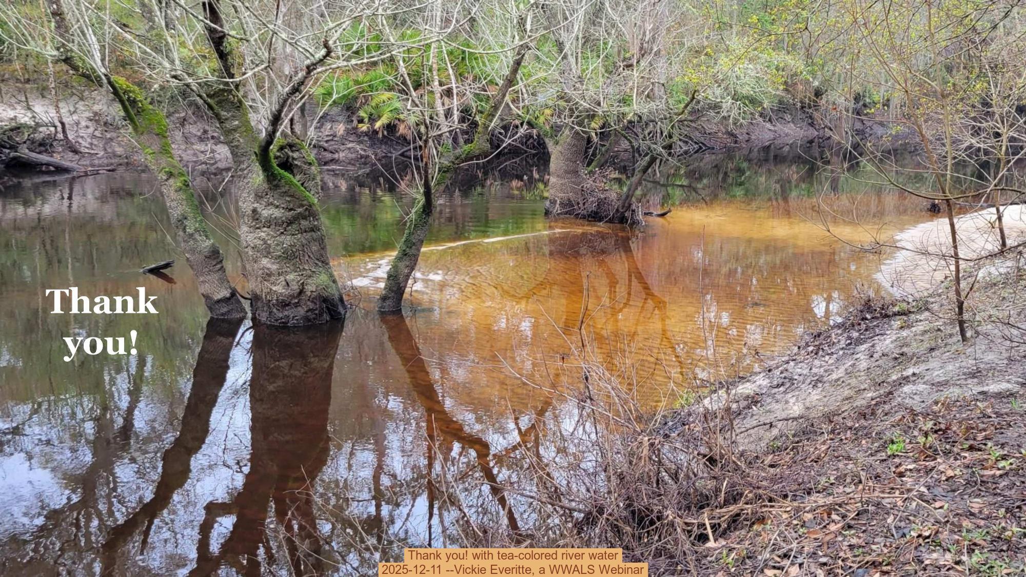 Thank you! with tea-colored river water, 2025-12-11 --Vickie Everitte, a WWALS Webinar