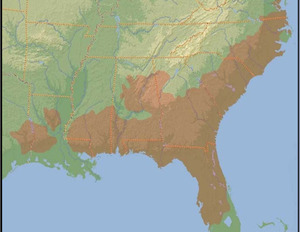 [Map: Wider Wiregrass Region --Wiregrass Digital History Project]