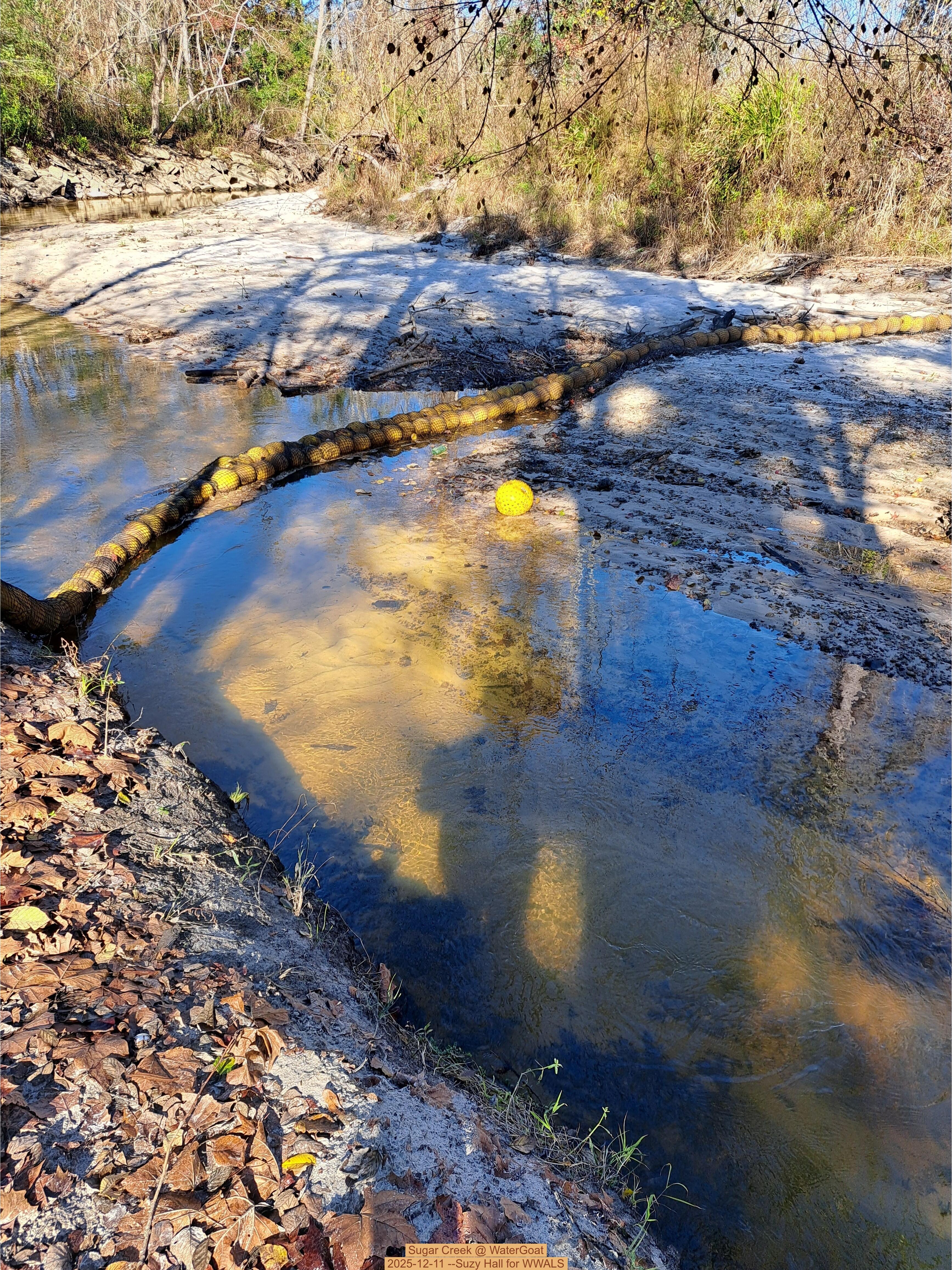 Sugar Creek @ WaterGoat 2025-12-11 --Suzy Hall for WWALS