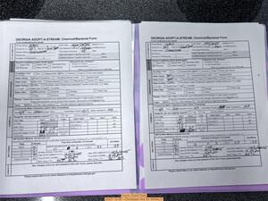 [Form, Point Park 2025-12-05 --Christiaan Ard for WWALS]