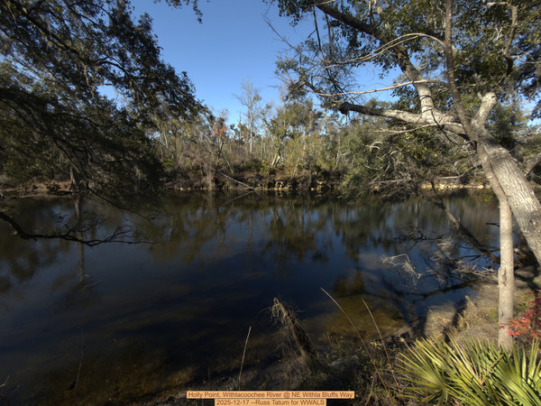 [Holly Point, Withlacoochee River @ NE Withla Bluffs Way 2025-12-17 --Russ Tatum for WWALS]