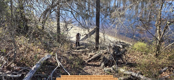 Blondie and Merrillee at the Pilgrims Pride outflow pipe, 2025:12:20 11:51:27, 30.3657769, -83.1914157 --jsq for WWALS