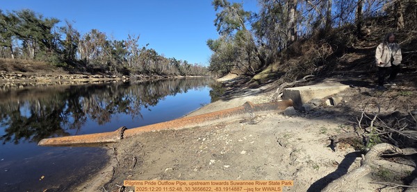 Pilgrims Pride Outflow Pipe, upstream towards Suwannee River State Park, 2025:12:20 11:52:48, 30.3656622, -83.1914887 --jsq for WWALS