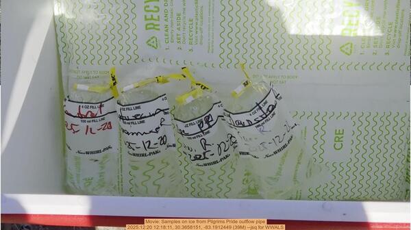 Movie: Samples on ice from Pilgrims Pride outflow pipe, 2025:12:20 12:18:11, 30.3658151, -83.1912449 (39M) --jsq for WWALS