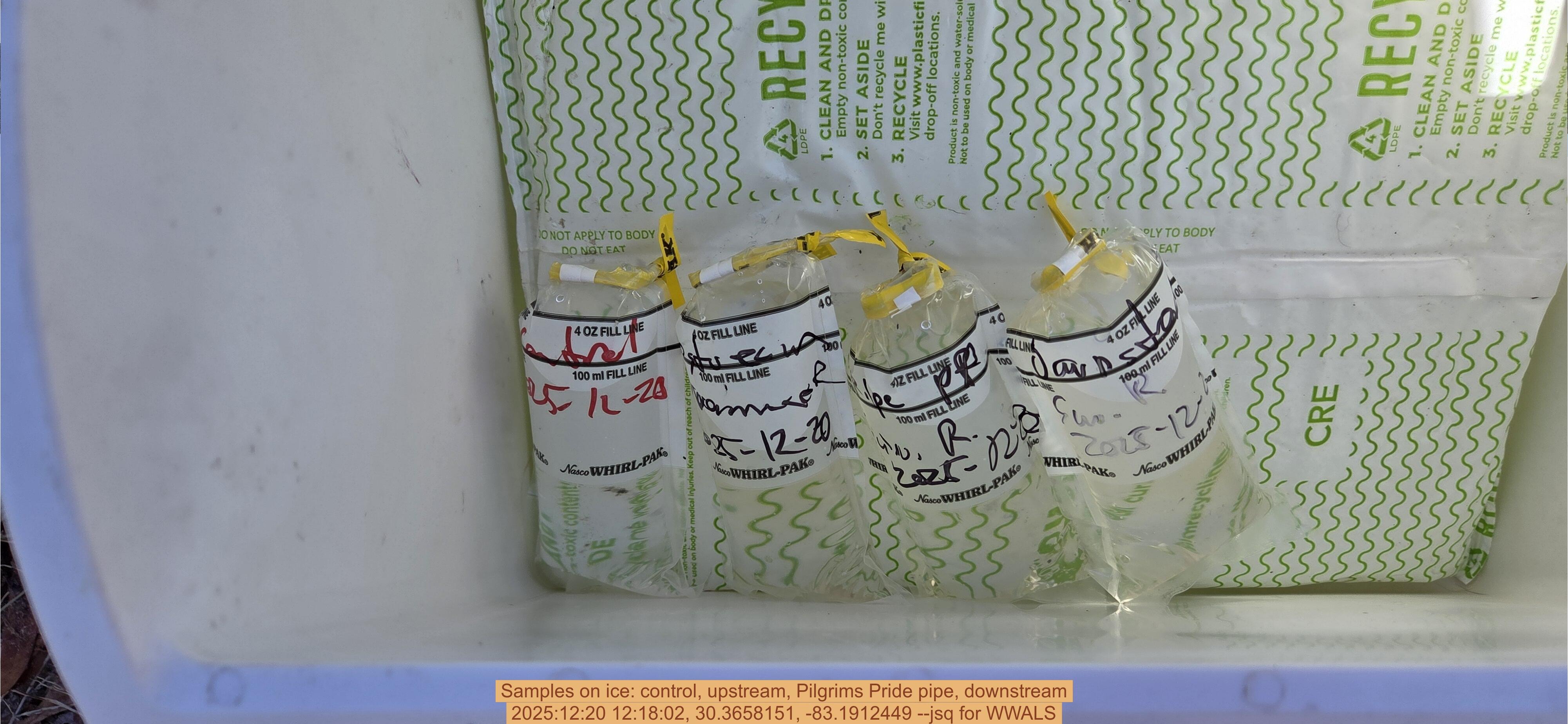 Samples on ice: control, upstream, Pilgrims Pride pipe, downstream, 2025:12:20 12:18:02, 30.3658151, -83.1912449 --jsq for WWALS