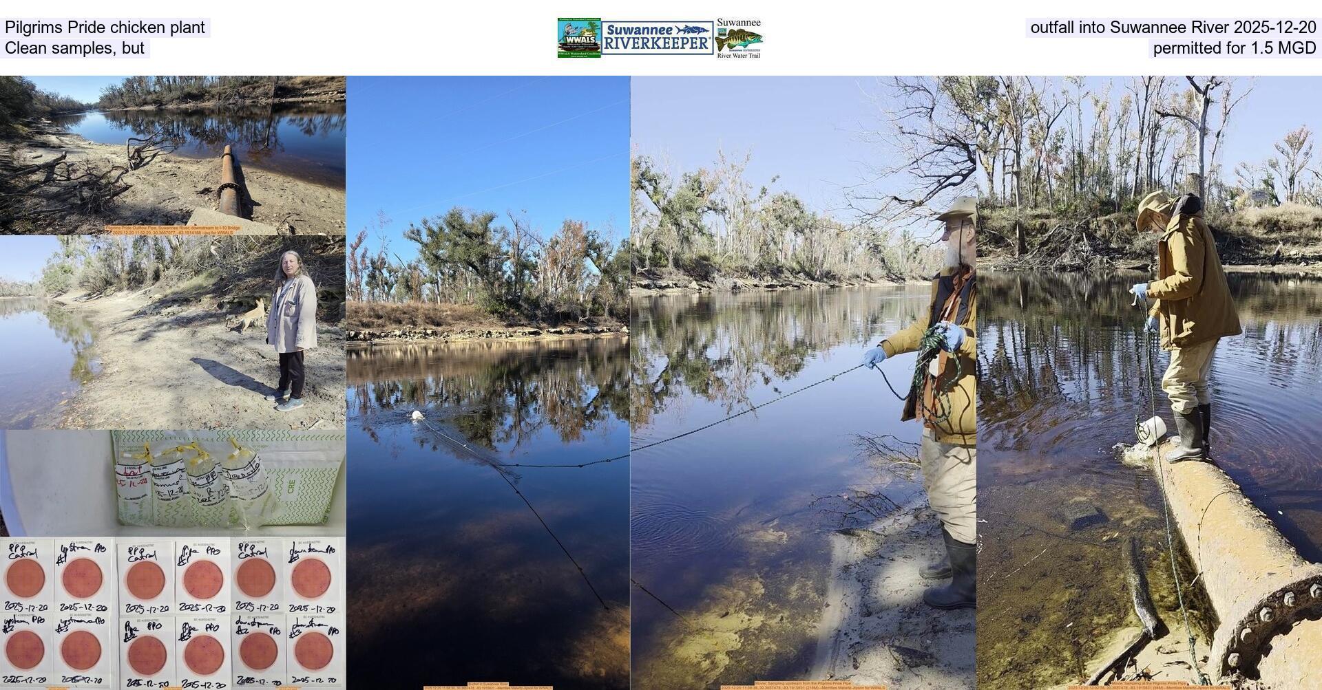 [Pilgrims Pride chicken plant outfall into Suwannee River 2025-12-20, Clean samples, but permitted for 1.5 MGD]