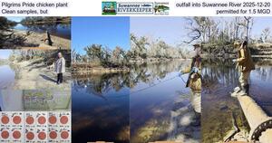 [Pilgrims Pride chicken plant outfall into Suwannee River 2025-12-20, Clean samples, but permitted for 1.5 MGD]