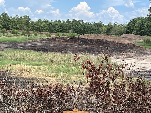 Field, 2025:07:29 15:01:13 --GA-EPD