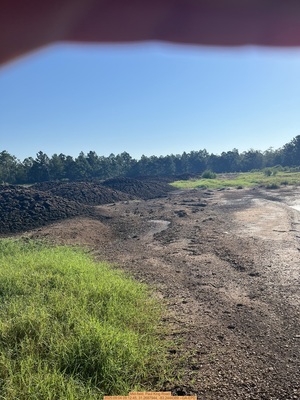 [Mid-field, Paul King Road, 2025:09:04 09:12:45, 31.2687944, -83.2444389 --GA-EPD]