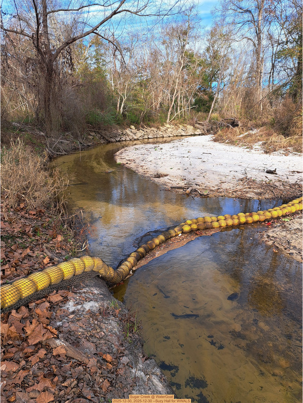 [Sugar Creek @ WaterGoat 2025-12-30, 2025-12-30 --Suzy Hall for WWALS]