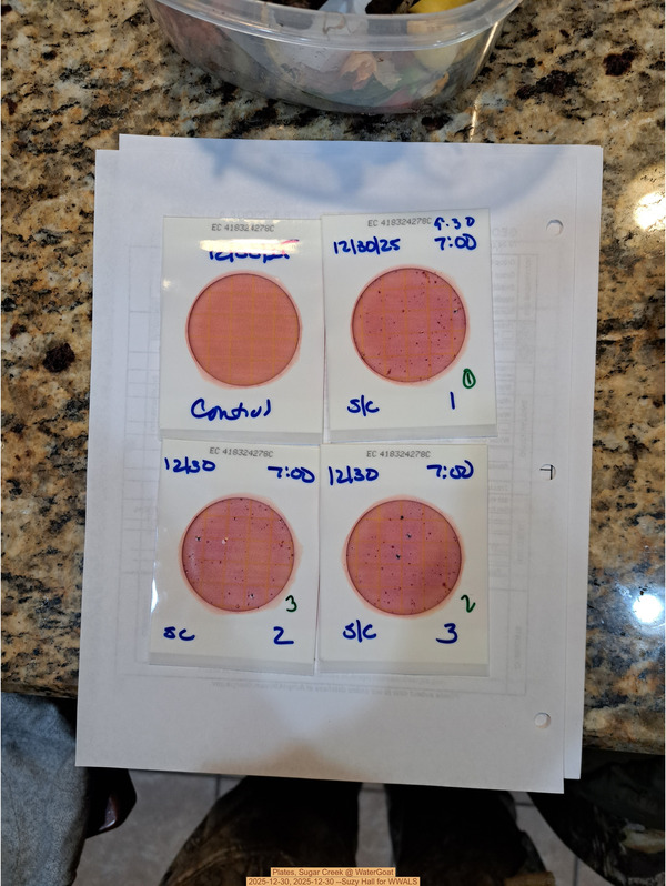Plates, Sugar Creek @ WaterGoat 2025-12-30, 2025-12-30 --Suzy Hall for WWALS