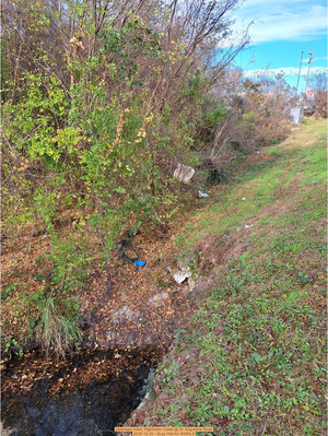 [Upstream trash, Hightower Creek @ St. Augustine Road, 2025-12-30 --Suzy Hall for WWALS]