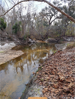 [Two Mile Branch, Sugar Creek @ WaterGoat 2025-12-30, 2025-12-30 --Suzy Hall for WWALS]