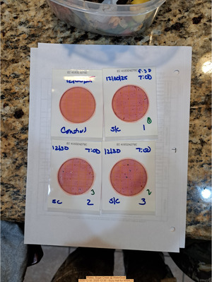 [Plates, Sugar Creek @ WaterGoat 2025-12-30, 2025-12-30 --Suzy Hall for WWALS]