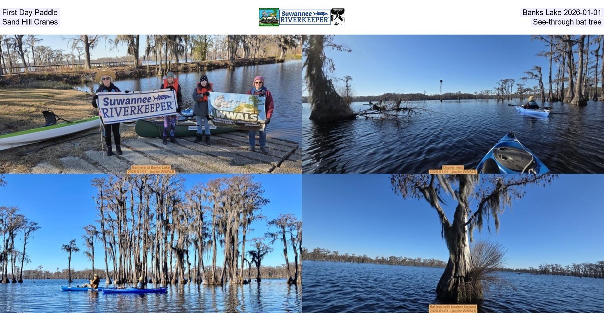 First Day Paddle, Banks Lake 2026-01-01, Sand Hill Cranes, See-through bat tree