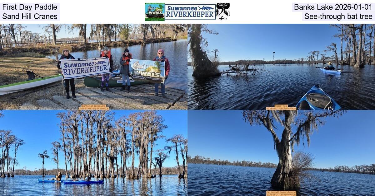 First Day Paddle, Banks Lake 2026-01-01, Sand Hill Cranes, See-through bat tree