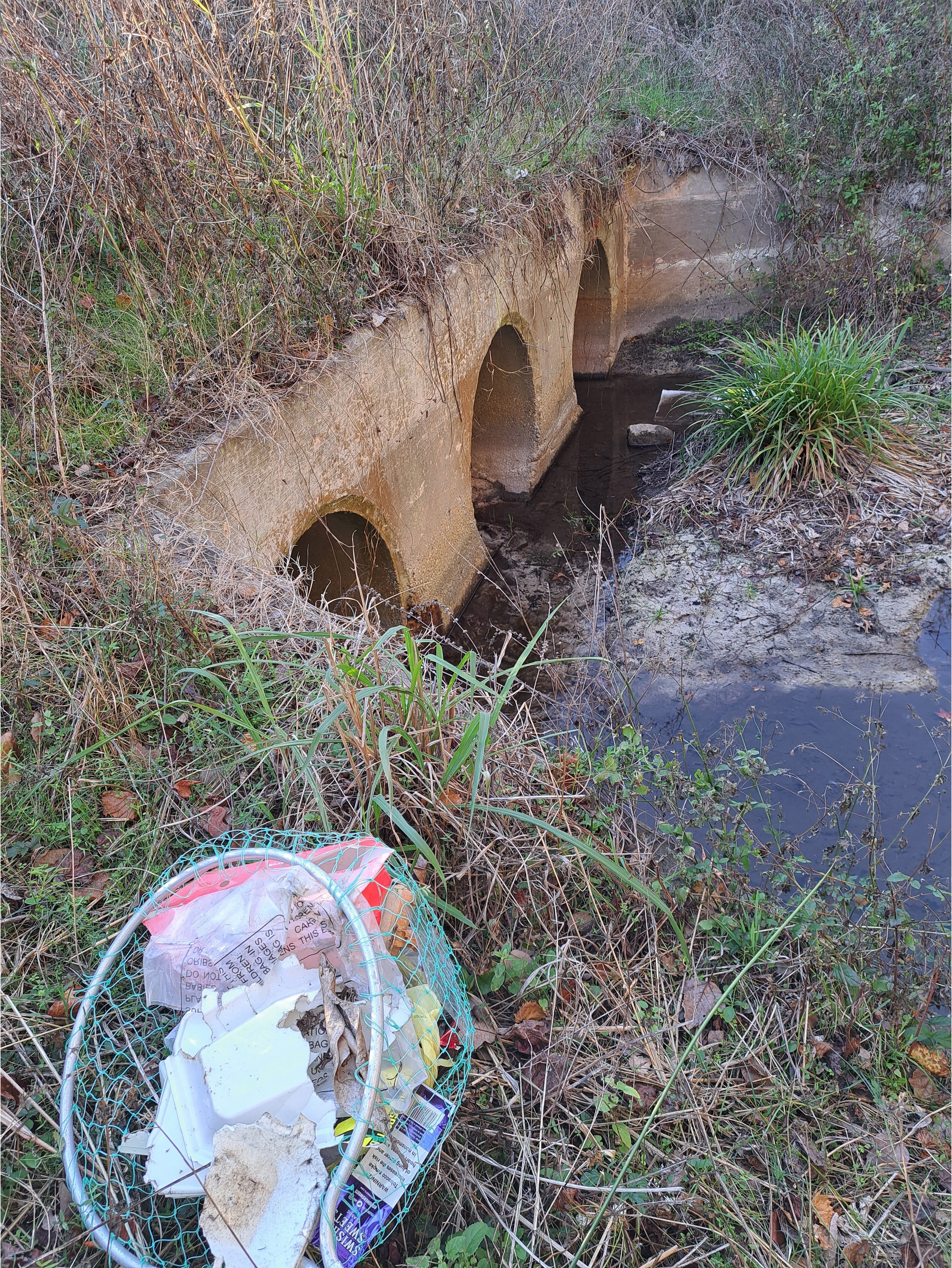 Trash and triple culverts, Hightower Creek at Norman Drive other, Hightower Creek @ Norman Drive 2026-01-01 --Suzy Hall for WWALS