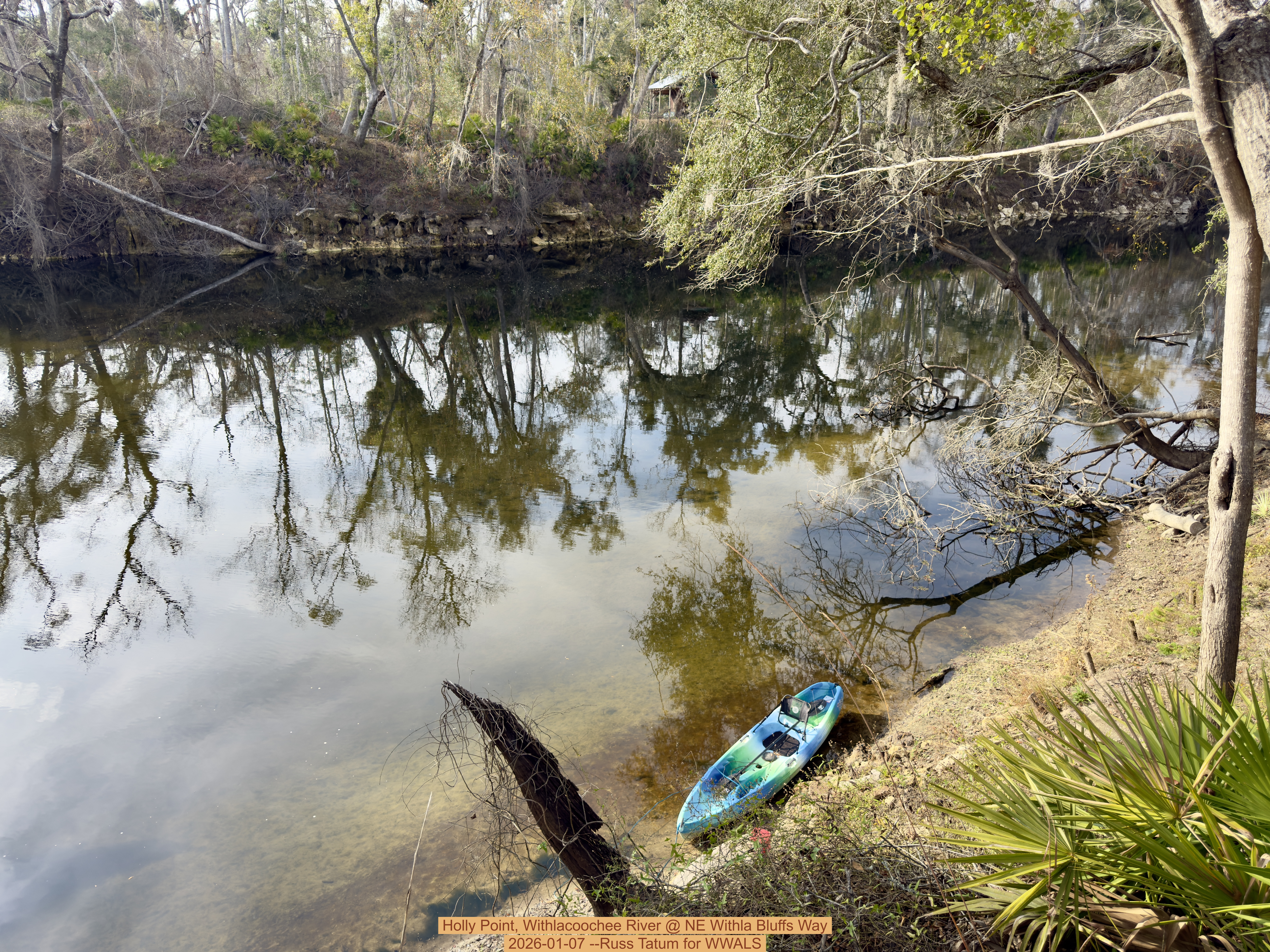 Holly Point, Withlacoochee River @ NE Withla Bluffs Way 2026-01-07 --Russ Tatum for WWALS