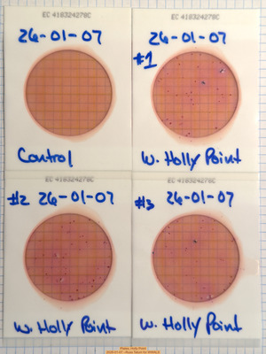 [Plates, Holly Point 2026-01-07 --Russ Tatum for WWALS]