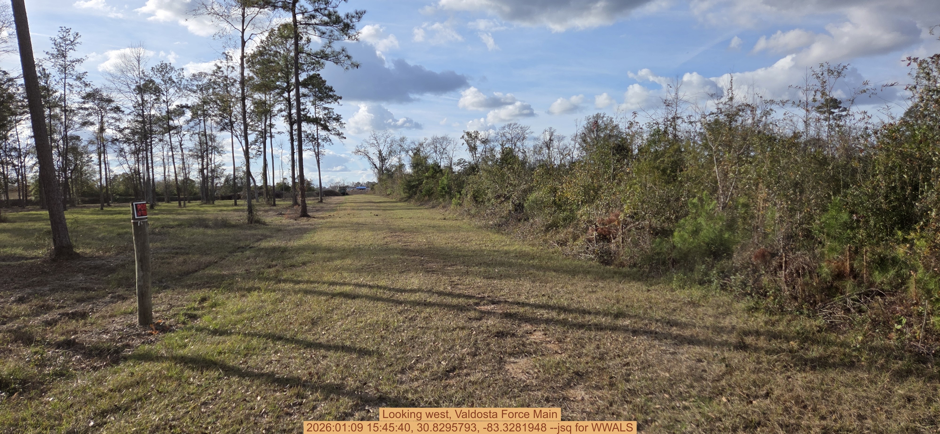 Looking west, Valdosta Force Main, 2026:01:09 15:45:40, 30.8295793, -83.3281948 --jsq for WWALS