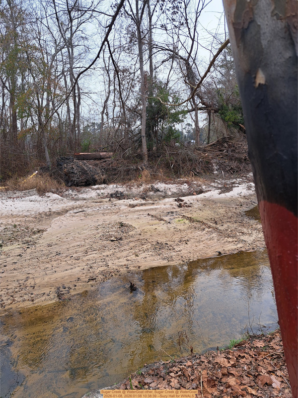 Bottom scraped, Sugar Creek @ WaterGoat 2026-01-08, 2026:01:08 10:38:39 --Suzy Hall for WWALS