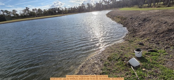 Looking east, Hightower Creek @ ILM Pond, 2026-01-09 --jsq for WWALS, 2026:01:09 15:43:36, 30.8264304, -83.3274007