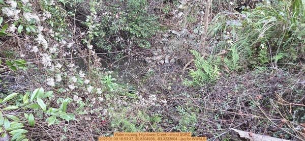 [Water moving, Hightower Creek behind SGRC, 2026:01:09 16:53:37, 30.8304936, -83.3223604 --jsq for WWALS]