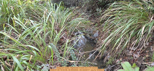 [Stagnant water, Hightower Creek exit I-75 culvert, 2026:01:09 16:54:56, 30.8302644, -83.3224017 --jsq for WWALS]