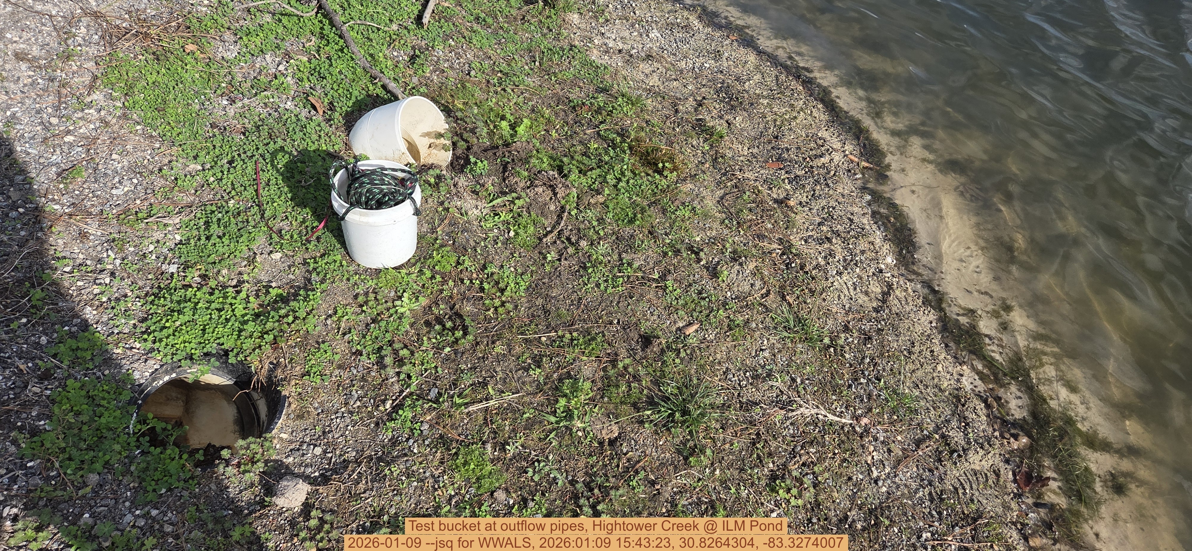 Test bucket at outflow pipes, Hightower Creek @ ILM Pond, 2026-01-09 --jsq for WWALS, 2026:01:09 15:43:23, 30.8264304, -83.3274007