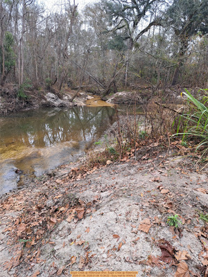 [Two Mile Branch again, Sugar Creek @ WaterGoat 2026-01-08, 2026:01:08 10:38:22 --Suzy Hall for WWALS]