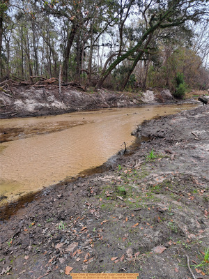 [Upstream, Sugar Creek @ WaterGoat 2026-01-08, 2026:01:08 10:42:53 --Suzy Hall for WWALS]