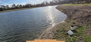 [Looking east, Hightower Creek @ ILM Pond, 2026-01-09 --jsq for WWALS, 2026:01:09 15:43:36, 30.8264304, -83.3274007]