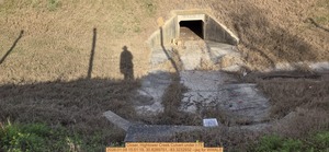 [Closer, Hightower Creek Culvert under I-75, 2026:01:09 15:51:19, 30.8289751, -83.3232932 --jsq for WWALS]