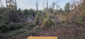 [SGRC building background Hightower Creek from Sam's Club, 2026:01:09 16:42:27, 30.8299330, -83.3217612 --jsq for WWALS]