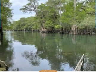 Point Park, Ichetucknee River, 2025-05-26 --Linda Dicker for WWALS