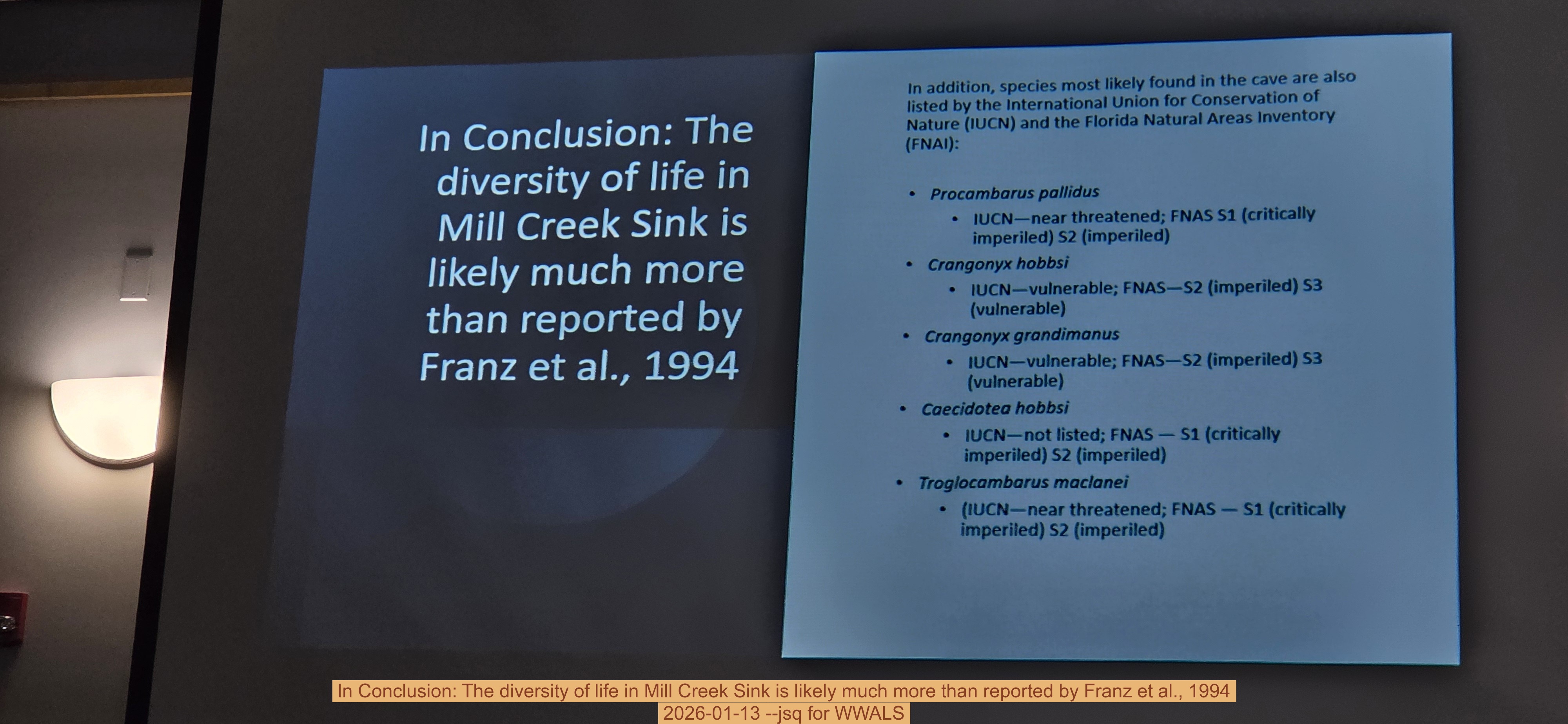 In Conclusion: The diversity of life in Mill Creek Sink is likely much more than reported by Franz et al., 1994, 2026-01-13 --jsq for WWALS