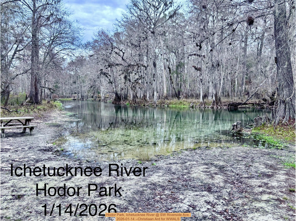 [Hodor Park, Ichetucknee River @ SW Riverside Ave. 2026-01-14 --Christiaan Ard for WWALS]