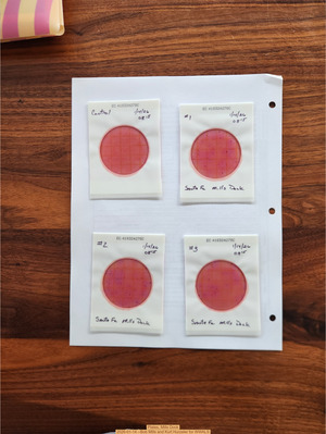 [Plates, Mills Dock 2026-01-14 --Bob Mills and Kurt Hurzeler for WWALS]