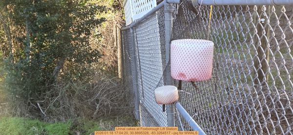 [Urinal cakes at Foxborough Lift Station, 2026:01:18 17:04:20, 30.8895328, -83.3264517 --jsq for WWALS]