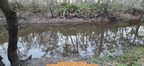 [Withlacoochee River, Langdale Park, 2026:01:18 17:46:48, 30.8875943, -83.3241279 --jsq for WWALS]